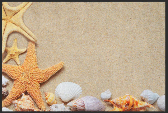 A starfish and seashells on a beach Description automatically generated