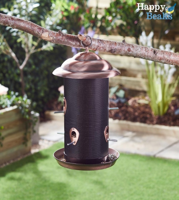 https://www.happybeaks.co.uk/images/products/zoom/z-WEBG36225.jpg