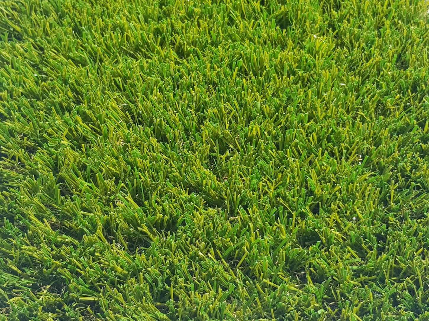 https://www.artificialgrass-direct.com/wp-content/uploads/2021/03/LP-El-Bloo-A1-LR.jpg