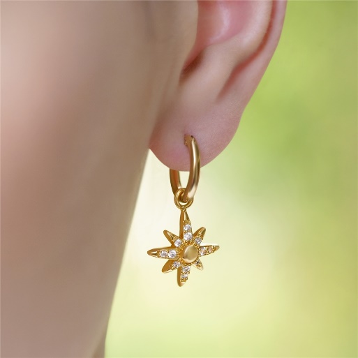 Newbridge Silverware Amy Star Earrings with Clear Stones 3