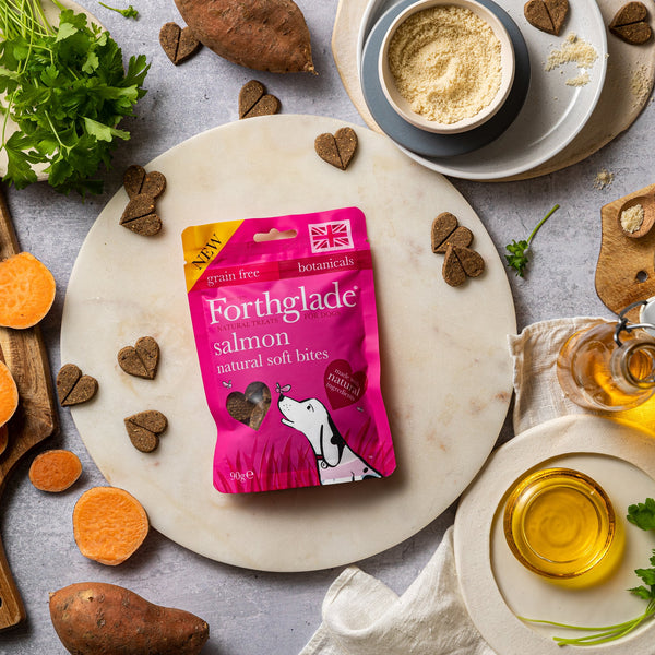 Natural soft bite treats with Salmon (1 x 90g)