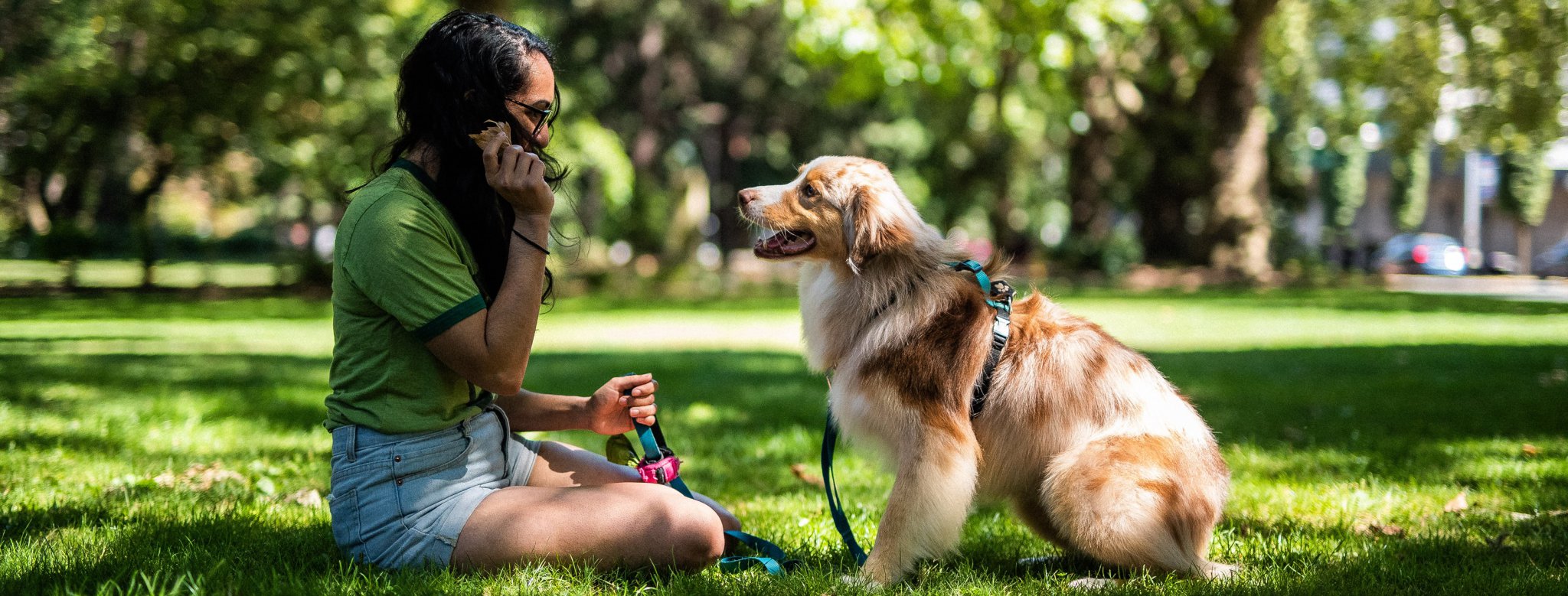 The Ultimate Guide To Booking A Pet Sitter With Rover Pet Sitting App