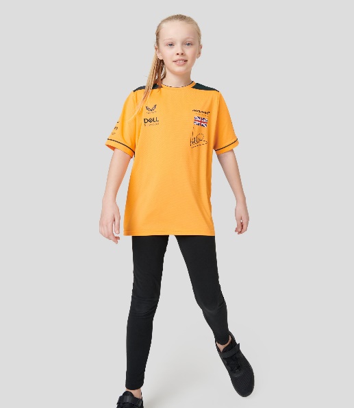 https://cdn.shopify.com/s/files/1/0569/0867/7307/products/TJ0809_AUTUMN_GLORY_PHANTOM_1.jpg?v=1643988580