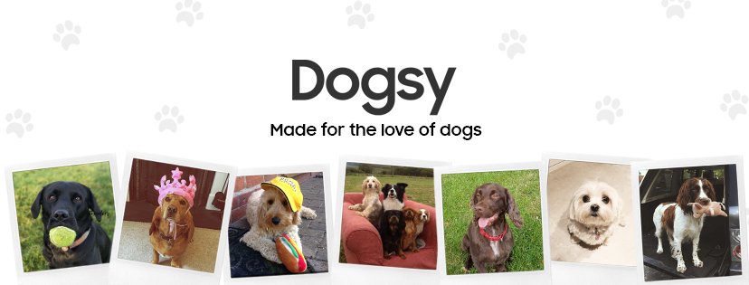 dogsy reviews