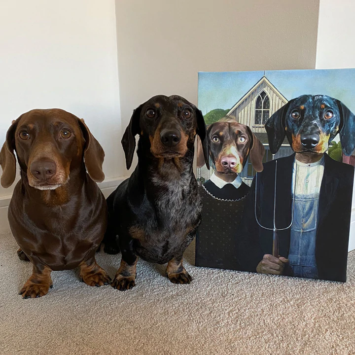 Dogsy dog portrait 