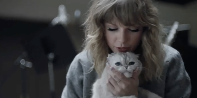 Taylor Swift's Cat Is Among the Richest Pet in the World - TopFashionDeals