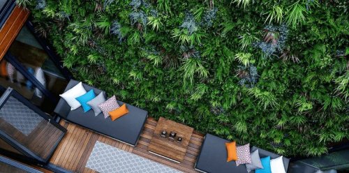 Designer Vertical Gardens AU Review
