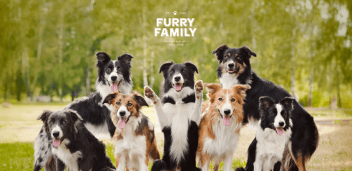 Furry Family SE review