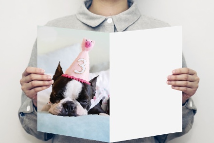 large postcard