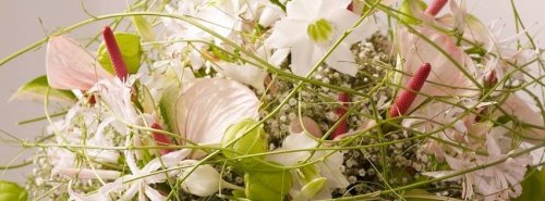Blumenversand Edelweiss DE review