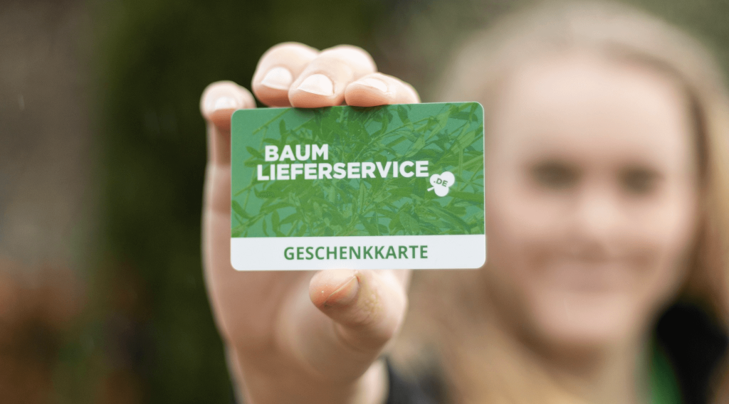 Baum LieferService