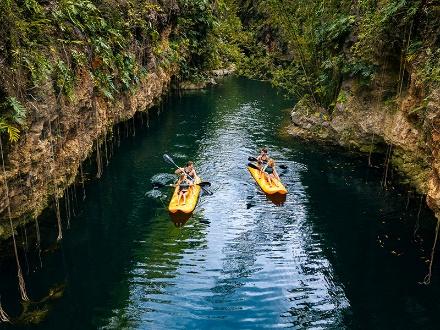 XENOTES