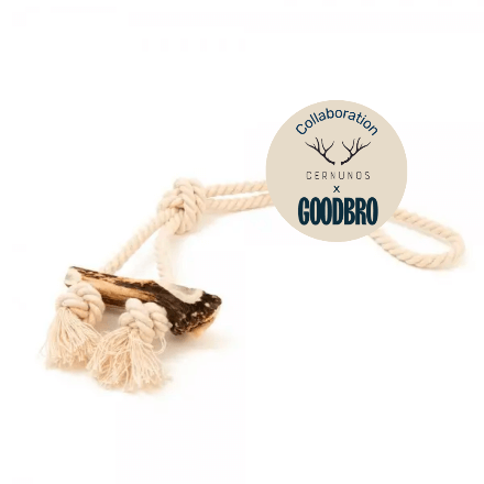 Dog rope with deer antlers - Cernunos