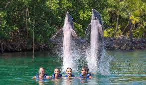 Xel-Ha Park including Swim with Dolphin