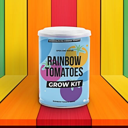 Rainbow Tomato Tin