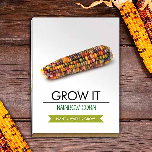 Grow Your Own Rainbow Corn - Grow It