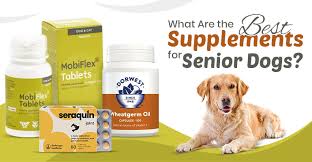 Best Supplements for Senior Dogs ...