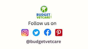 Types of Intestinal Worms In Dogs and ...