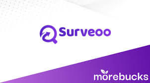 Surveoo: Persönliche Erfahrungen ...