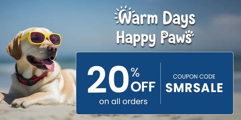 Budgetcare June Sale
