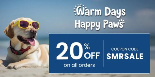 Budgetcare June Sale