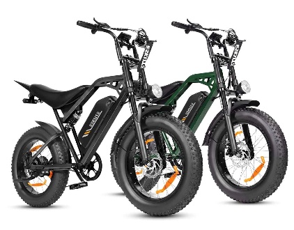 Eskute V202 Retro E-Bike*2