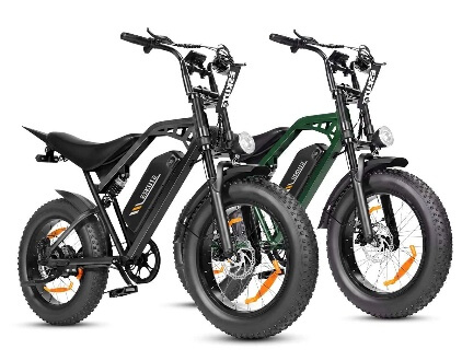 Eskute V202 Retro E-Bike*2