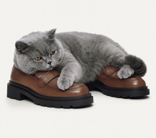 Bata autumn loafer from the Make Yourself Comfortable campaign