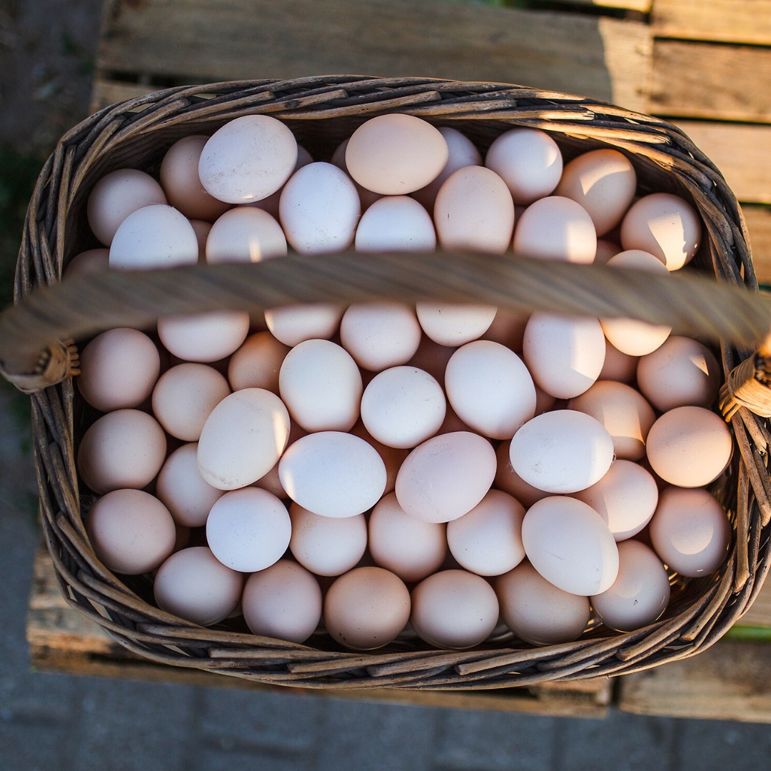 Wicker basket full of fresh free-range eggs from a local Polish farm