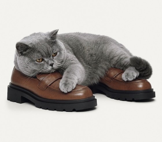 Bata autumn loafer from the Make Yourself Comfortable campaign