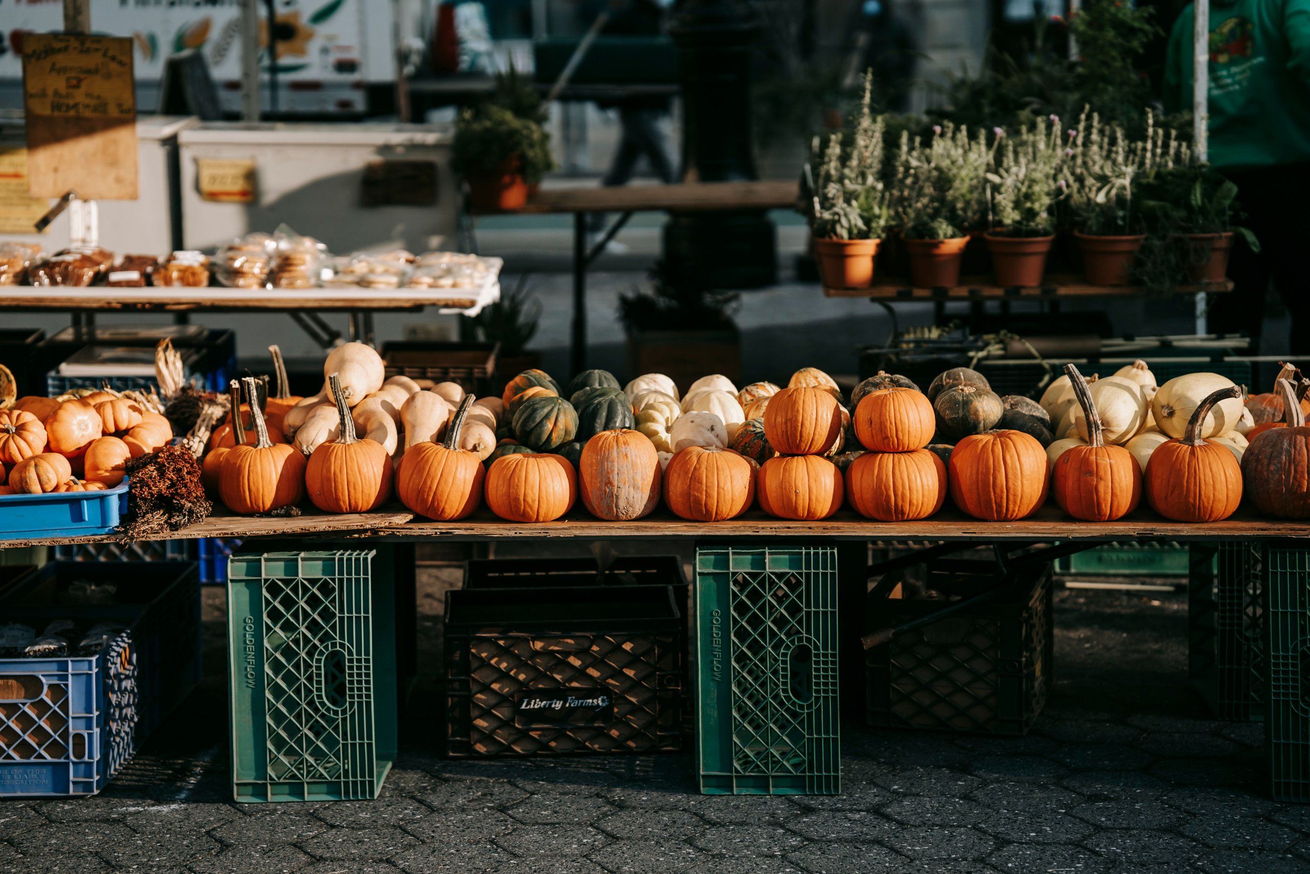 Seasonal market stall with pumpkins on a weekend trip
